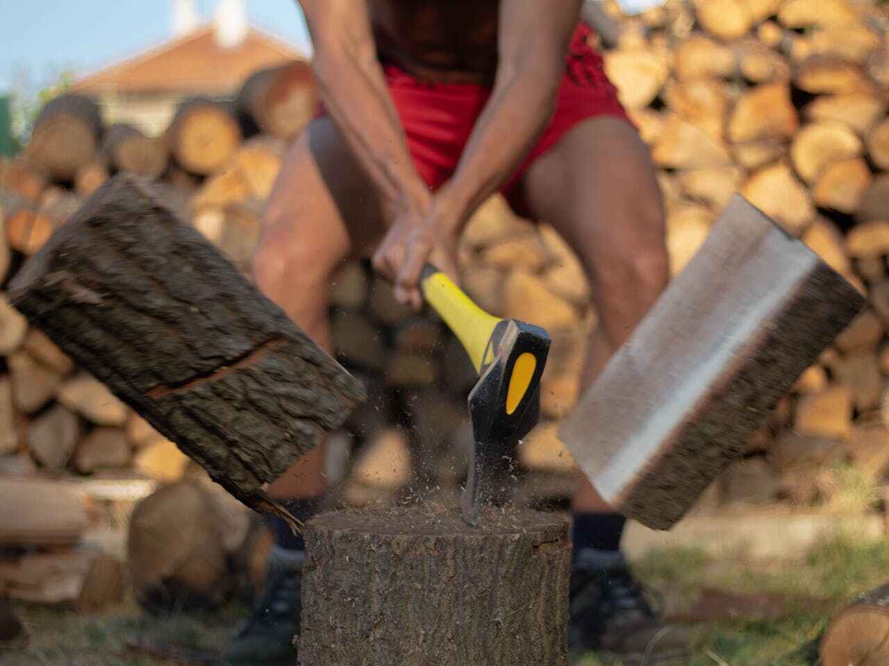 Residential Tree Removal in San Elizario, TX